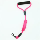 Dog Leash Rope Nylon ::: Tenacity 7 / colors 3 sizes